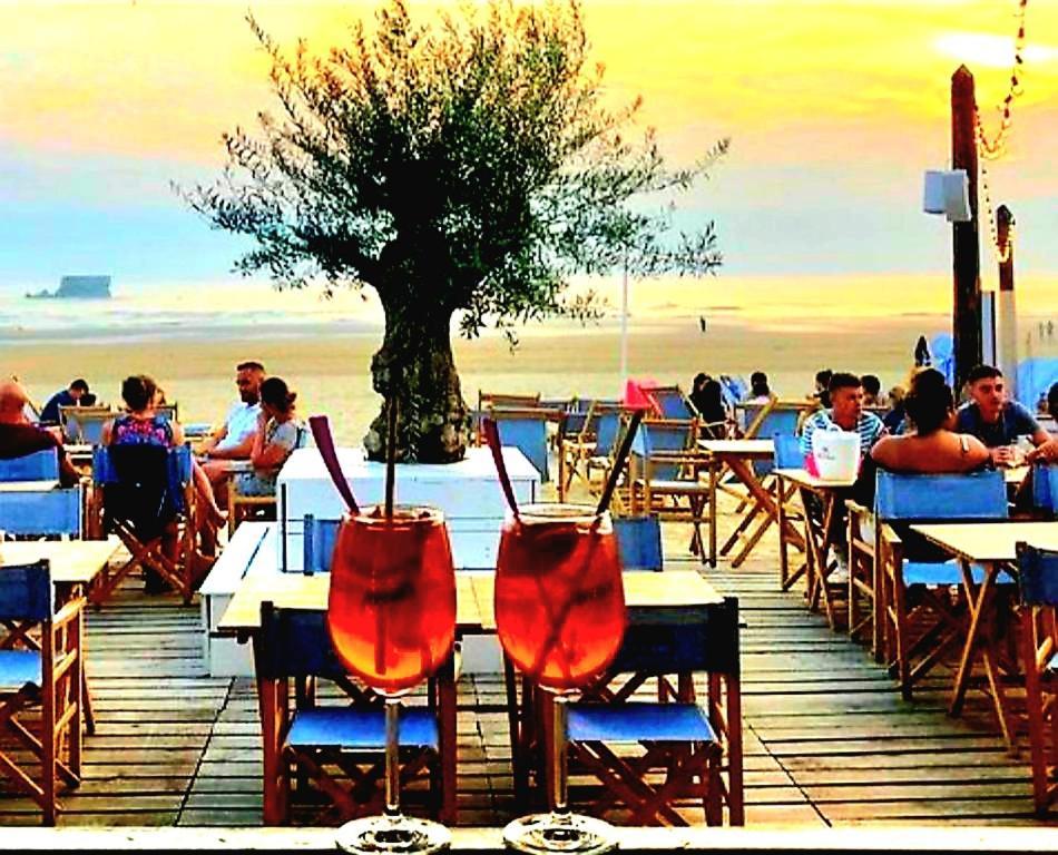 Studio Cap Sur Mer بولون-سور-مير المظهر الخارجي الصورة